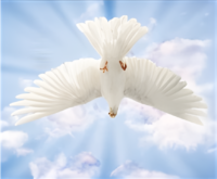 Ballina West Medical Centre Logo